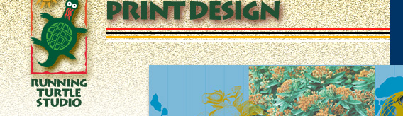 catalog marketing design