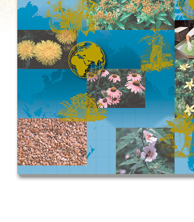 Life Plus - Pro-Dentec