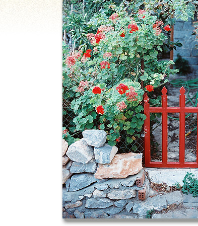 Stock Photography: Greece