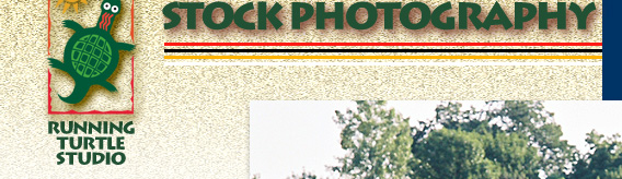 Stock Photography: Texas