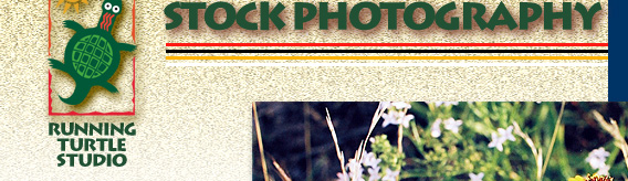 Stock Photography: Texas