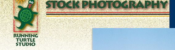 Stock Photography: Texas