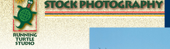 Stock Photography: Texas